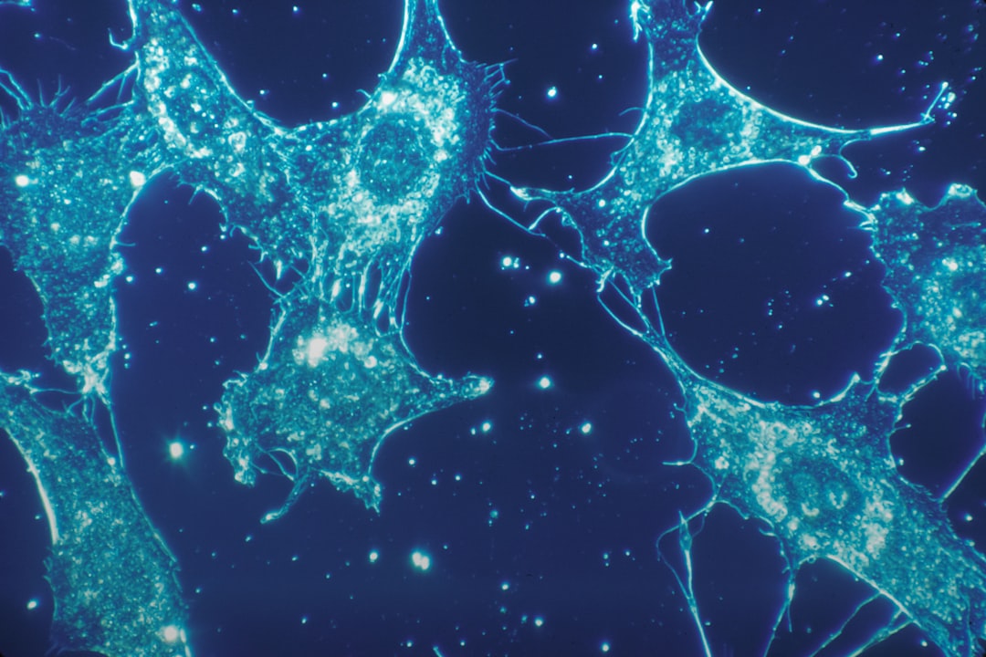 Urolithin A: The Mitochondria Compound You Need But Probably Do Not Make
